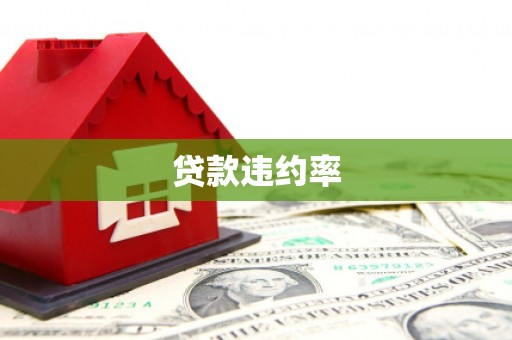 道外贷款违约率