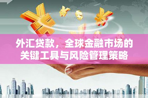道外外汇贷款，全球金融市场的关键工具与风险管理策略