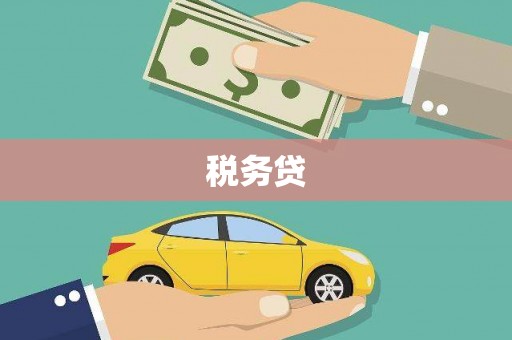 道外税务贷