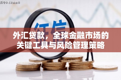 道外外汇贷款，全球金融市场的关键工具与风险管理策略