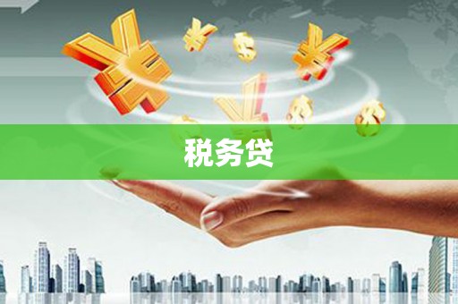 道外税务贷