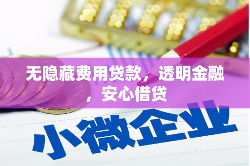 道外无隐藏费用贷款，透明金融，安心借贷