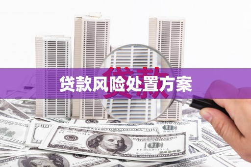 道外贷款风险处置方案