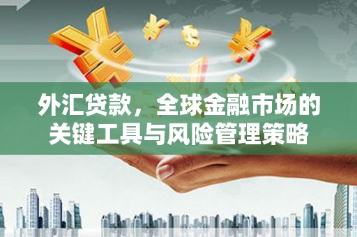 道外外汇贷款，全球金融市场的关键工具与风险管理策略