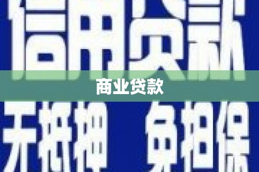 道外商业贷款
