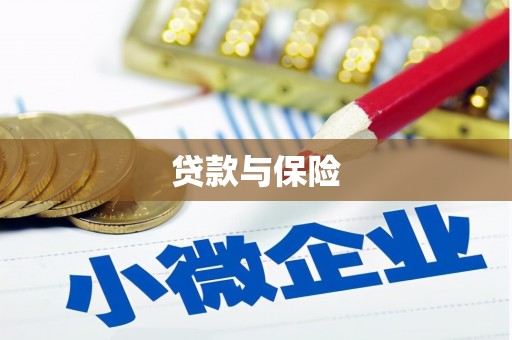 道外贷款与保险