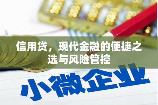 道外信用贷，现代金融的便捷之选与风险管控