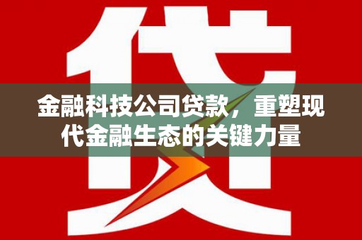 道外金融科技公司贷款，重塑现代金融生态的关键力量