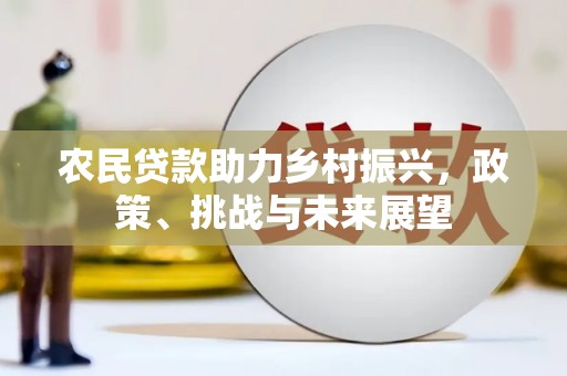 道外农民贷款助力乡村振兴，政策、挑战与未来展望