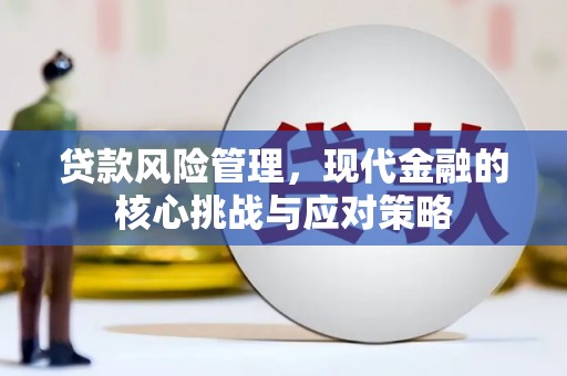 道外贷款风险管理，现代金融的核心挑战与应对策略
