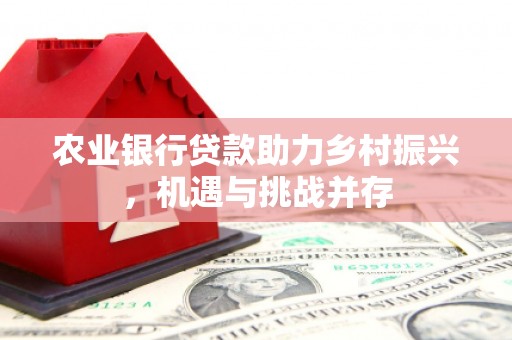 道外农业银行贷款助力乡村振兴，机遇与挑战并存