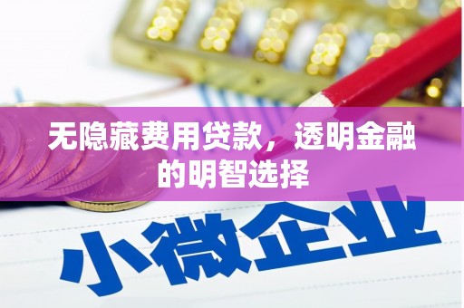 道外无隐藏费用贷款，透明金融的明智选择