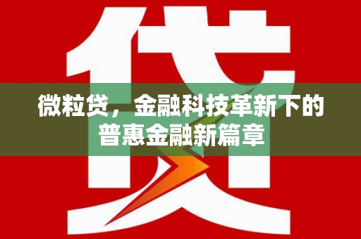 道外微粒贷，金融科技革新下的普惠金融新篇章