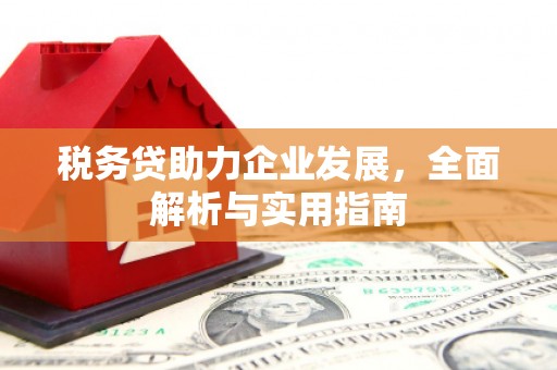 道外税务贷助力企业发展，全面解析与实用指南