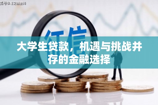 道外大学生贷款，机遇与挑战并存的金融选择