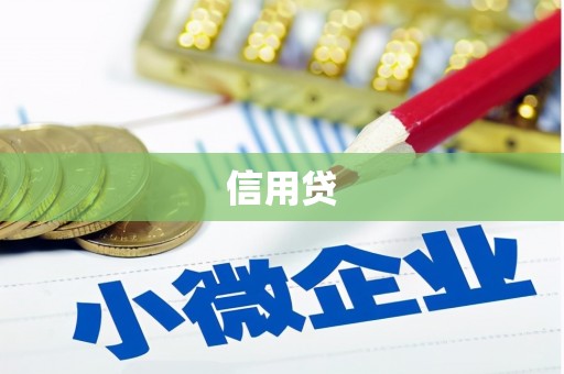 道外信用贷