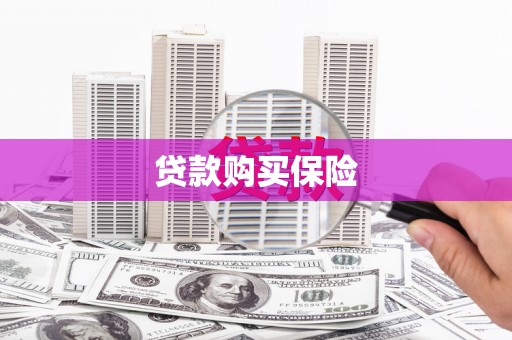 道外贷款购买保险