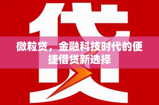 道外微粒贷，金融科技时代的便捷借贷新选择