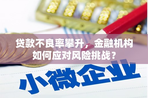 道外贷款不良率攀升，金融机构如何应对风险挑战？