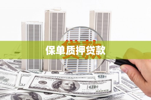 道外保单质押贷款