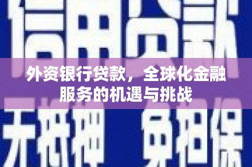 道外外资银行贷款，全球化金融服务的机遇与挑战