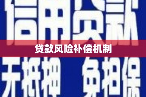 道外贷款风险补偿机制