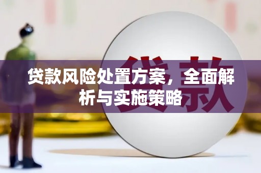 道外贷款风险处置方案，全面解析与实施策略