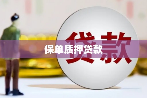 道外保单质押贷款
