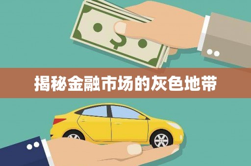 道外揭秘金融市场的灰色地带