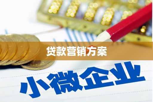 道外贷款营销方案
