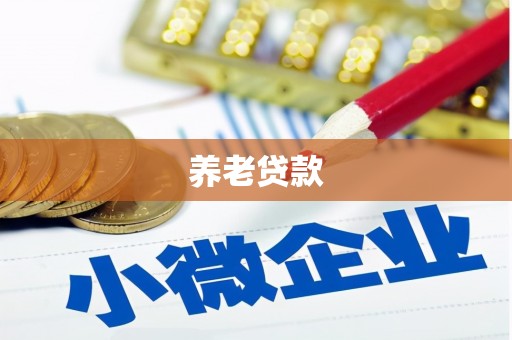 道外养老贷款